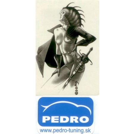 Podložka pod ŠPZ brúsený hliník - strieborná