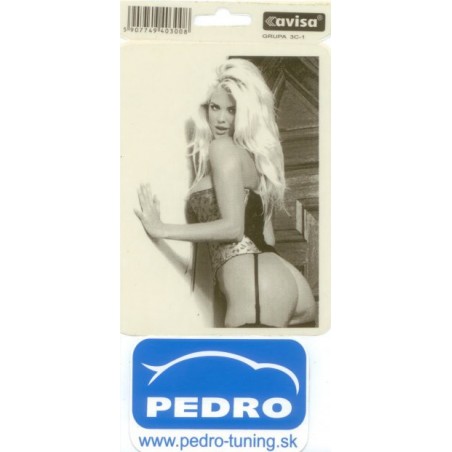 Podložka pod ŠPZ brúsený hliník - strieborná