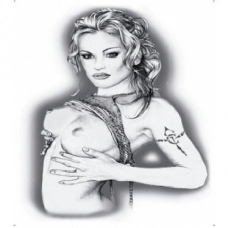 Podložka pod ŠPZ brúsený hliník - strieborná