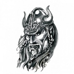 1/03242 Viking (475)