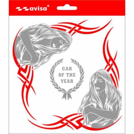 Podložka pod ŠPZ brúsený hliník - strieborná