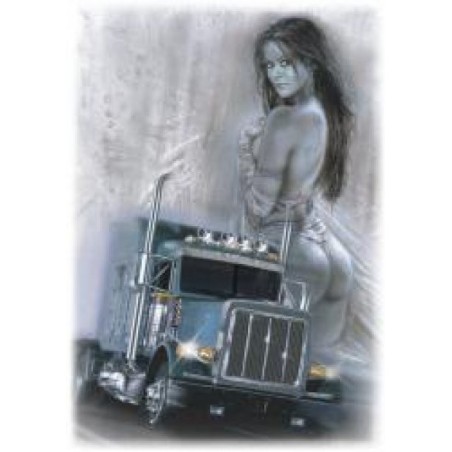 Podložka pod ŠPZ brúsený hliník - strieborná