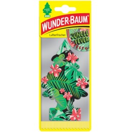 Wunder-Baum Jungle fever