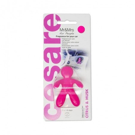 Podložka pod ŠPZ brúsený hliník - strieborná