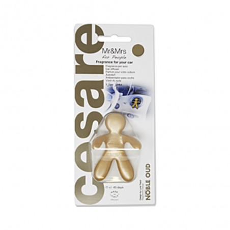 Podložka pod ŠPZ brúsený hliník - strieborná